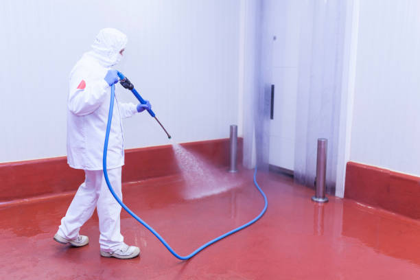Best Paint Preparation  in Farmingville, NY