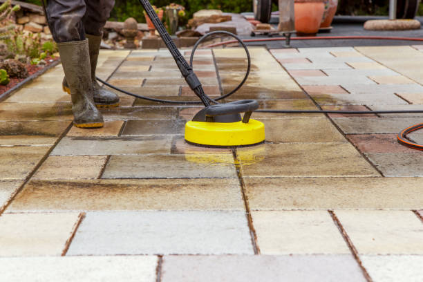 Best Solar Panel Cleaning  in Farmingville, NY